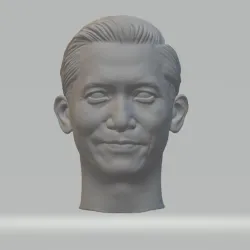 Tony Leung Head in the Mood for Love 3D print model