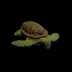 Turtle