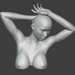 woman bust