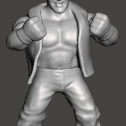 wwf wwe aew ecw wcw retro
