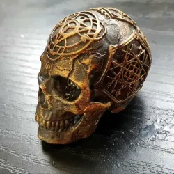 Alchemy SKULL