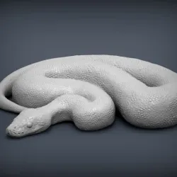 Ball Pythons 3D print model