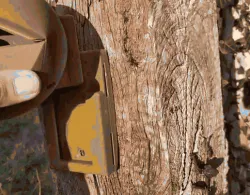 Birdhouse, birdhouse, bird nest, robin's nest