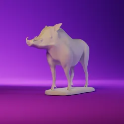 Boar