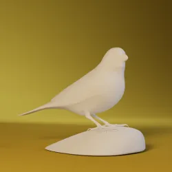 Canary