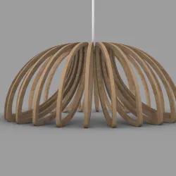 Ceiling light