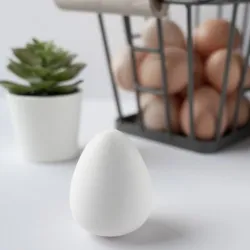 Chicken Egg dummy