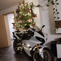 Christmas tree stand for motorcycle (Yamaha)