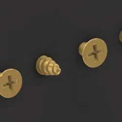 Coat rack wood screw