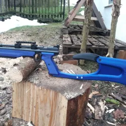 Crosman 1377/1322 stock set