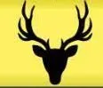 Deer Head Wall Deco