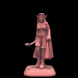 Elf Female Fighter 01