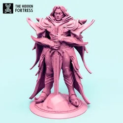 Eoin Elf Paladin