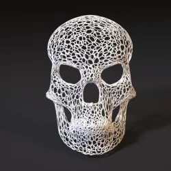 Evil Skull Mask