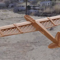 Fully 3D Printed RC Plane