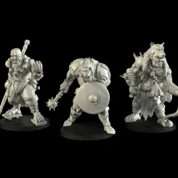 Half orc (cleric, monk, ranger)