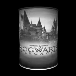 Hogwarts Legacy Lamp
