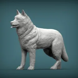 Husky 3D printed model