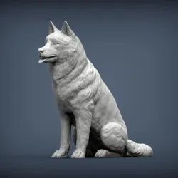 Husky 3D printed model