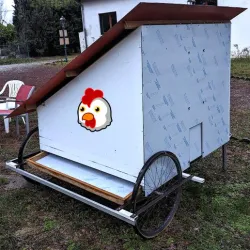 Kokot: a low energy chicken coop door