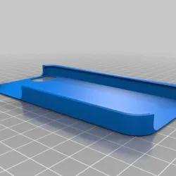 Lesters case