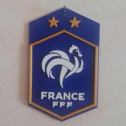 LOGO FFF