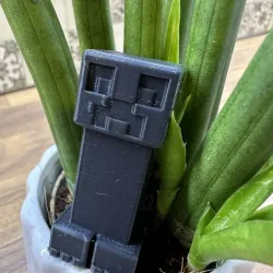 Minecraft creeper  (He's called RUDY)