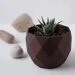 Miniature Diamond planter