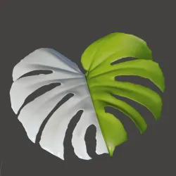 Monstera Leaf  Variegated Albo