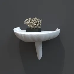 mushroom shelf