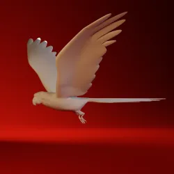 Parrot