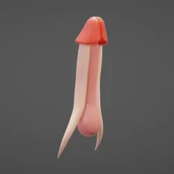 Penis Anatomy - Aroused Penis