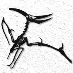 pteradon fossil wall art pteradactyl wall decor dinosaur