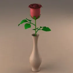 Rose flower