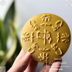 Saudi Founding Day Coin