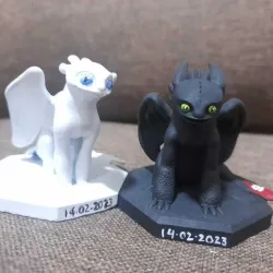 Toothless and luminous fury