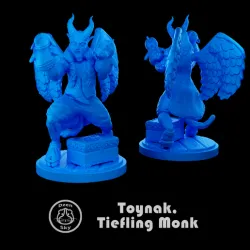 Toynak, Tiefling Monk (DnD)