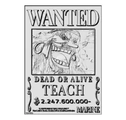 WANTED one piece blackbeard