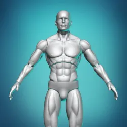 Articulated Action Figure