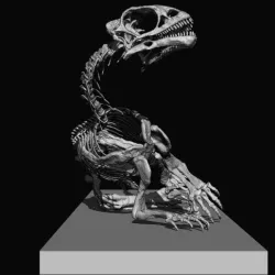 BABY MUSSAURUS, POSE 3, FOR SCALE 1:1 PART 1 OF 3