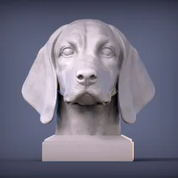 Beagle 3D print model
