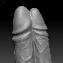 Double Dildo 3D Print Model