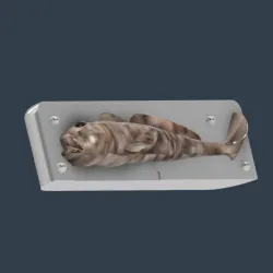 Goby Fishing Lure Mold  (Huchen Lure Mold)