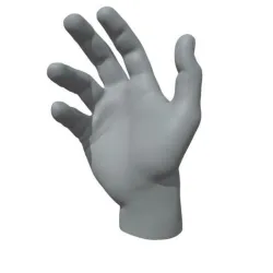 Hand male