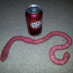 Hermie, the GIANT worm! (fully-articulated)