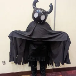 Hollow Knight Helmet