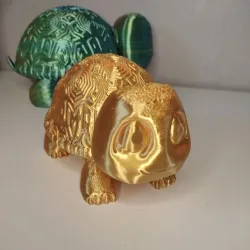 Little Turtle