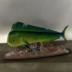 mahi mahi / Coryphaena hippurus 2.0 underwater statue detailed texture for 3d printing