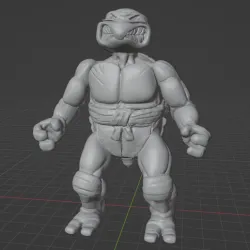 Mirage Style Teenage Mutant Ninja Turtles