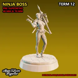 Ninja Boss Mini